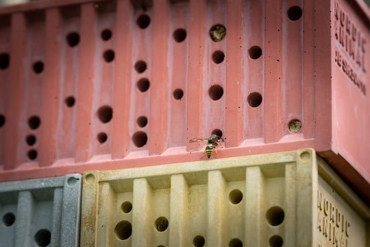 BEECONTAINER - Bienenhotel aus Beton im Container-Design